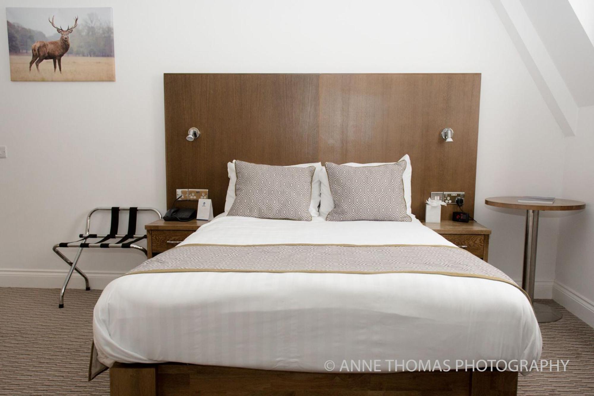 Hotel Western Priory 3*